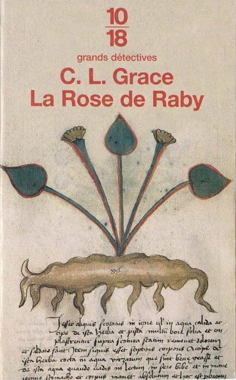 [Kathryn Swinbrooke 05] La rose de Raby