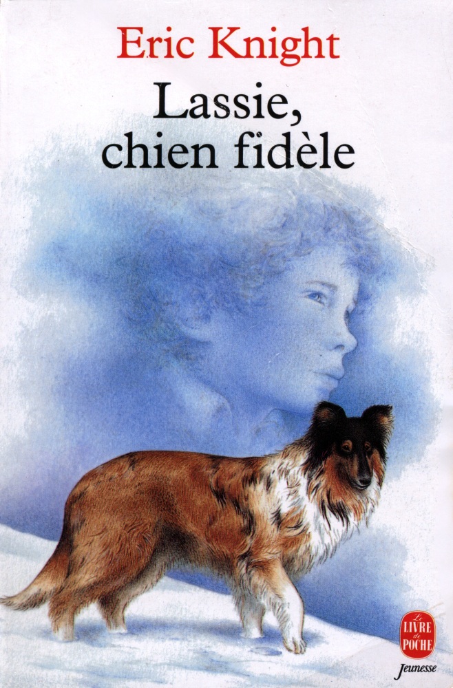 Lassie chien fidèle