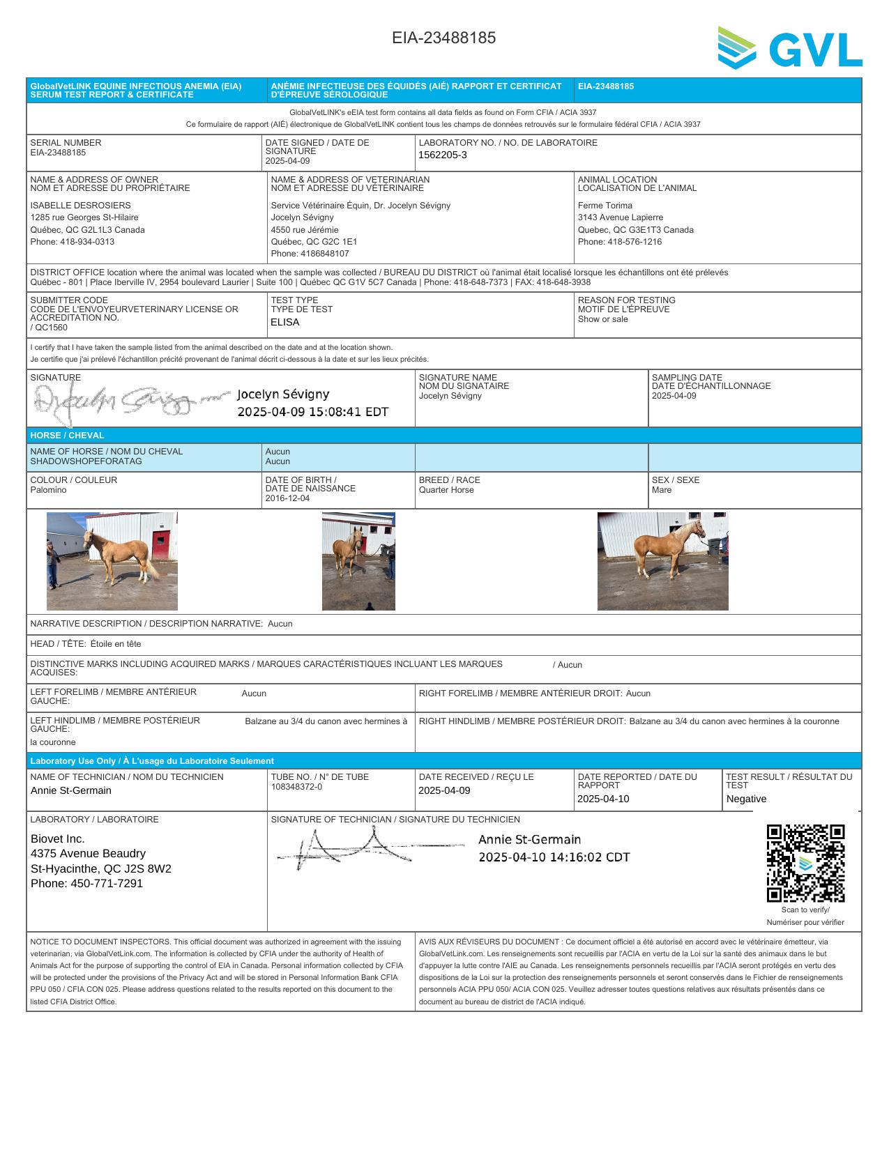 Equine Infectious Anemia Laboratory Test